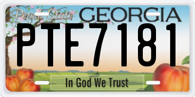 GA license plate PTE7181