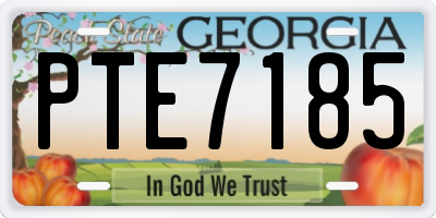 GA license plate PTE7185