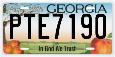 GA license plate PTE7190