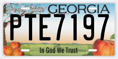 GA license plate PTE7197