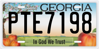 GA license plate PTE7198