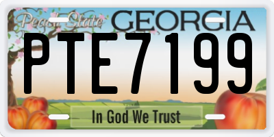 GA license plate PTE7199