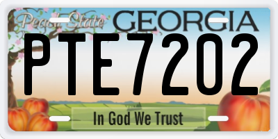 GA license plate PTE7202