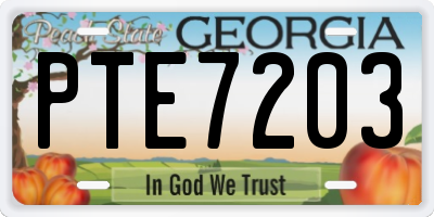 GA license plate PTE7203