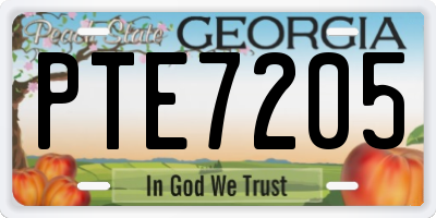 GA license plate PTE7205