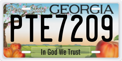GA license plate PTE7209