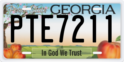 GA license plate PTE7211