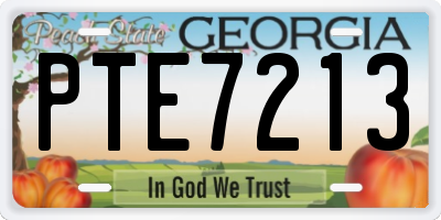 GA license plate PTE7213