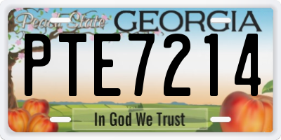 GA license plate PTE7214