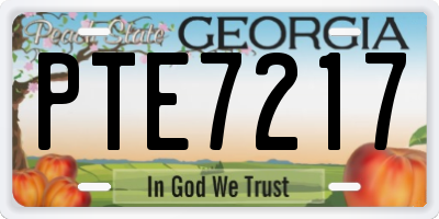 GA license plate PTE7217