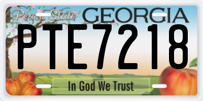 GA license plate PTE7218