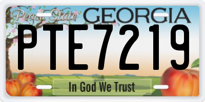 GA license plate PTE7219