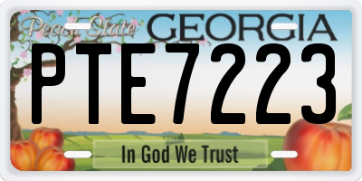 GA license plate PTE7223