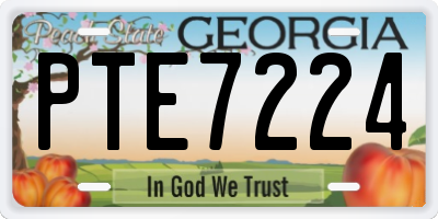 GA license plate PTE7224