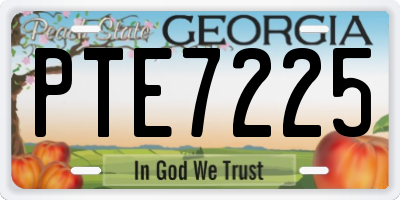 GA license plate PTE7225