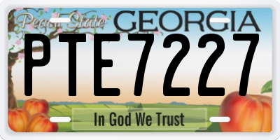 GA license plate PTE7227