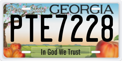 GA license plate PTE7228