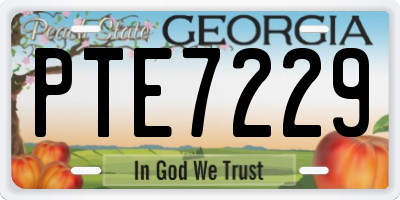 GA license plate PTE7229