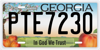 GA license plate PTE7230