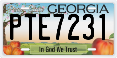 GA license plate PTE7231