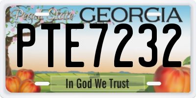 GA license plate PTE7232