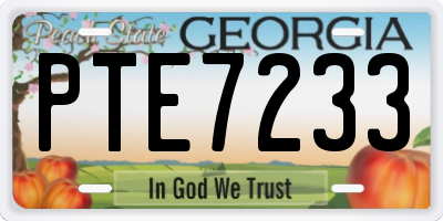GA license plate PTE7233