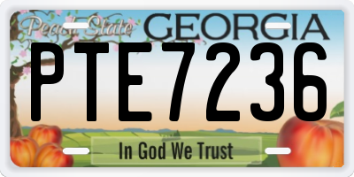 GA license plate PTE7236
