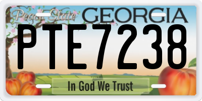 GA license plate PTE7238