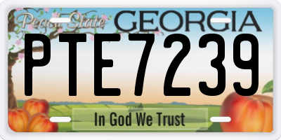 GA license plate PTE7239