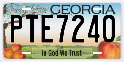 GA license plate PTE7240