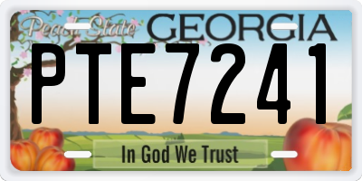 GA license plate PTE7241