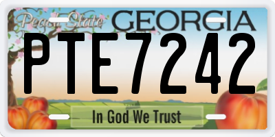 GA license plate PTE7242