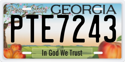 GA license plate PTE7243
