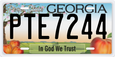 GA license plate PTE7244