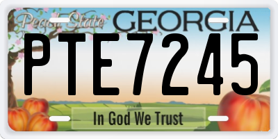 GA license plate PTE7245