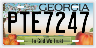 GA license plate PTE7247