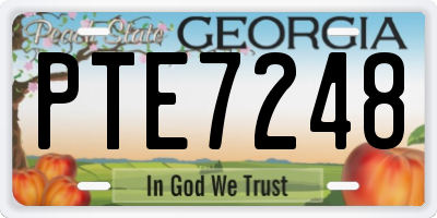 GA license plate PTE7248