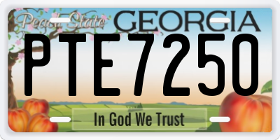 GA license plate PTE7250