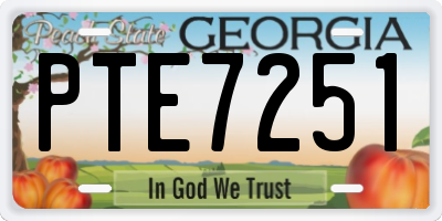 GA license plate PTE7251