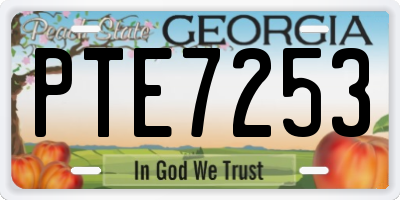 GA license plate PTE7253