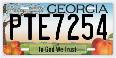 GA license plate PTE7254