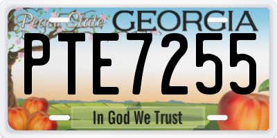 GA license plate PTE7255