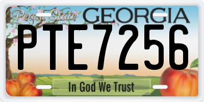 GA license plate PTE7256