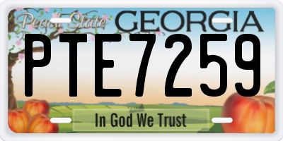 GA license plate PTE7259