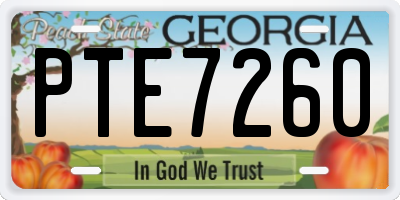 GA license plate PTE7260