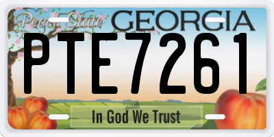 GA license plate PTE7261