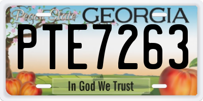GA license plate PTE7263