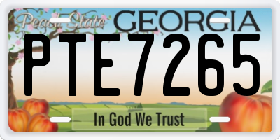 GA license plate PTE7265
