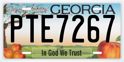 GA license plate PTE7267