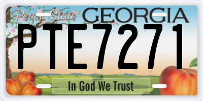 GA license plate PTE7271